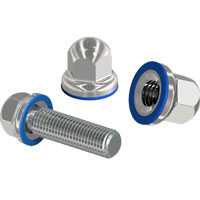 Dome nuts & Bolts 3-A